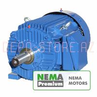 Электродвигатель NEMA Premium